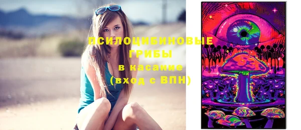 стафф Алексеевка