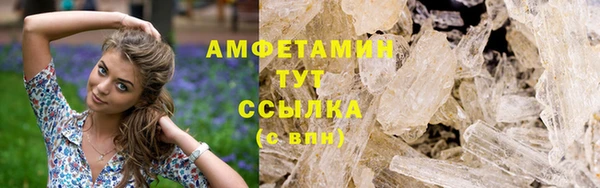 стаф Новокубанск