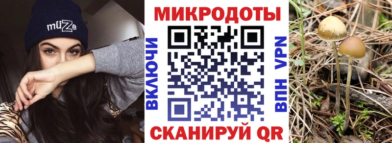 Галлюциногенные грибы GOLDEN TEACHER  Анапа 