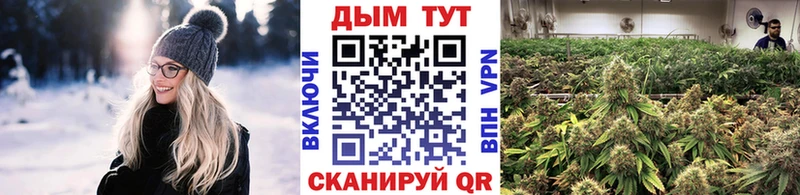 как найти наркотики  Анапа  Каннабис ГИДРОПОН 